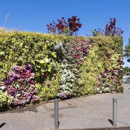 Home2book Centric & Cozy Flat Rambla Cruz 圣克鲁斯-德特内里费