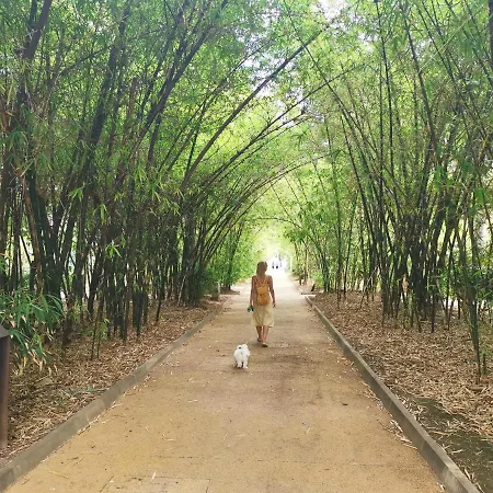 公寓 Home2book Centric & Cozy Flat Rambla Cruz *